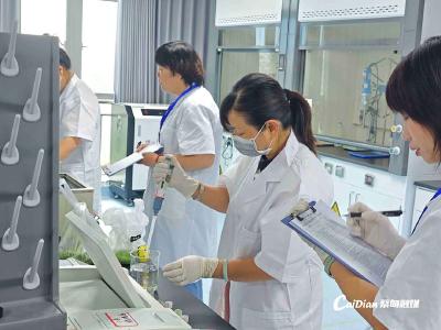 蔡甸“舌尖卫士”开展蔬菜农残检测技能大比武