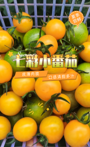 红～黄～绿！蔡甸七彩小番茄迎丰收