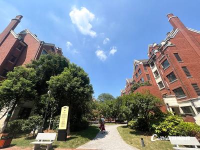 当你老了，理想的养老生活是怎样的？他们在蔡甸后官湖畔找到答案