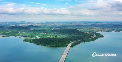 十一趣游后官湖！八大文旅新项目+特色民宿，承包你的假日欢乐
