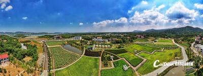 永安街道：弘扬“四气”精神 推动“四个之变”