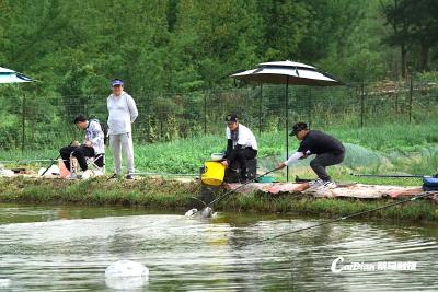 从城市商圈回归蔡甸田园，她要把整座农场的生活带给市民  