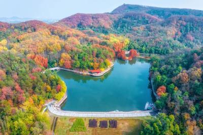 绝美！一卷斑斓染天地，请入蔡甸画中游