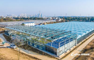 张湾街道：聚焦关键 深耕善为 争做“强东兴西”高质量发展排头兵