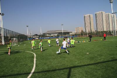 国内颜值最高面积最大城市足球公园月底正式运行