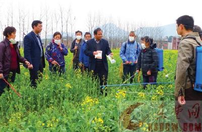 大冶市植保站指导农户加强田间管理