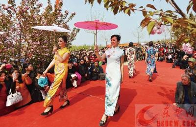 樱花旗袍相辉映 还地桥抒春之韵