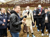 百余名专家学者前往“郧县人”发掘地 探访人类“老祖先”生活地