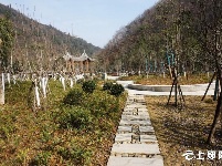 神定河：水清河畅岸绿景美