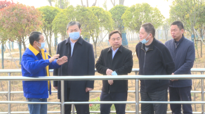 市委副书记、政法委书记马朝晖到郧阳区开展巡河工作