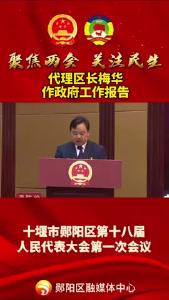 #聚焦两会关注民生 代理区长梅华作政府工作报告！#振奋人心 