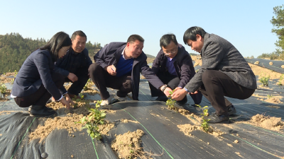 【贯彻六中全会精神 】青山镇：加大产业扶持力度 培育壮大本土企业