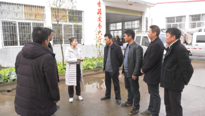 【贯彻六中全会精神】白桑关镇：精细化构建“菇茶小镇”