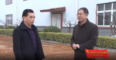 【贯彻党的十九届六中全会精神 】郧阳区：小木瓜做成大产业