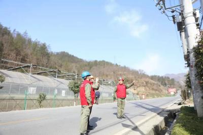 供电服务送上门 不误农时助春耕