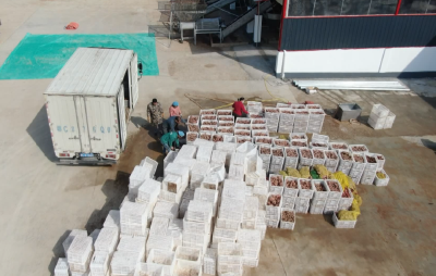 拼抢竞进“开门红” | 鄂鲁淀粉公司：技改扩能促发展