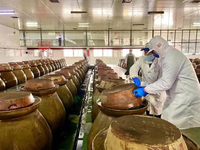 记者探访郧阳统一企业配套加工原料核心基地