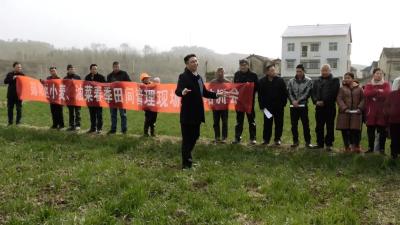 无人机为小麦油菜飞防 为粮油丰收护航