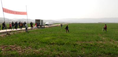 郧阳区安阳镇：抓好小麦春管 确保夏粮增收