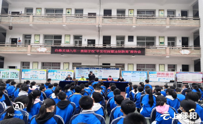 白桑关中心学校：与法同行 呵护“青苗”    