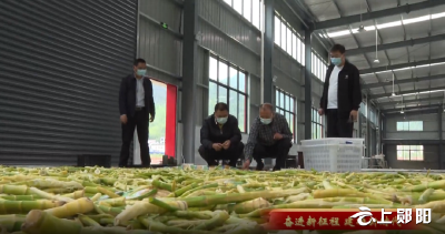 【奋进新征程·建功新时代】区财政局工作队：发展产业助民增收 倾情帮扶开花结果