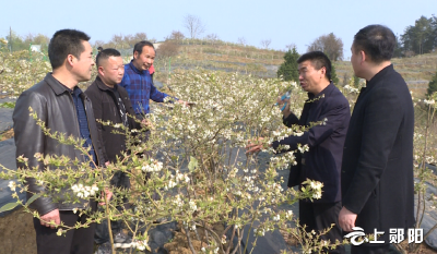 【奋进新征程·建功新时代】杨家沟村工作队：进“驻”群众心灵 推进乡村振兴