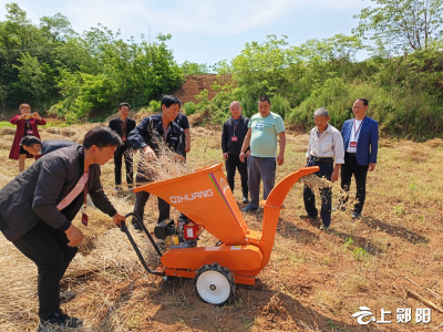 梅铺镇：代表在行动 听民声解难事