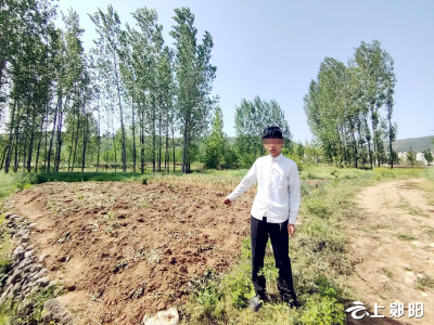 盗挖中药贱卖 男子被郧阳警方擒获