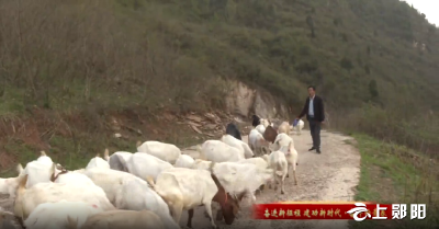 【奋进新征程 建功新时代▪奋斗的青春】万长林：发展种养殖业 实现青春梦想