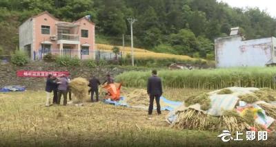 青山镇：秸秆粉碎还田 增地肥护蓝天