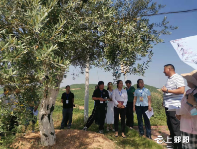 安阳镇人大代表开展下基层实践活动