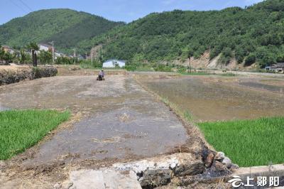 郧阳区中型灌区节水改造使13万亩当家田地旱涝保收