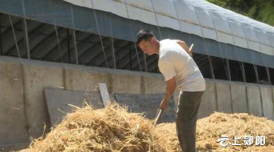 【喜迎二十大 乡村看变化】赵鹏：不恋城市恋家乡 返乡创业显身手