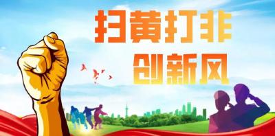 扫黄打非