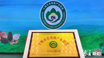 十堰食用菌产业联盟成立！市委书记胡亚波、国家首席科学家谭琦共同见证