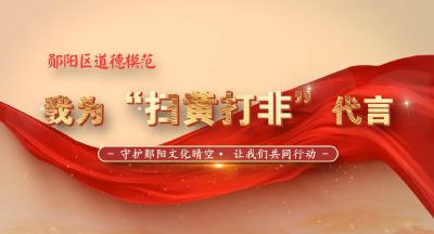 扫黄打非