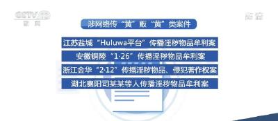 全国“扫黄打非”办公室1—6月查处“扫黄打非”案件5200余起