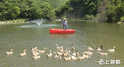 【喜迎二十大 乡村看变化】叶大乡门楼村：淡水养殖成为富民活水