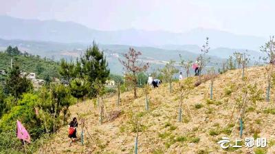 【共同缔造】青山镇琵琶滩村：树牢“五共”理念   共建幸福家园