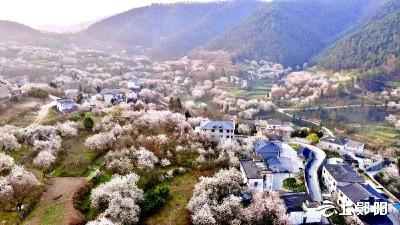 樱桃沟村：激活乡村生态旅游  着力打造国家3A级旅游景区