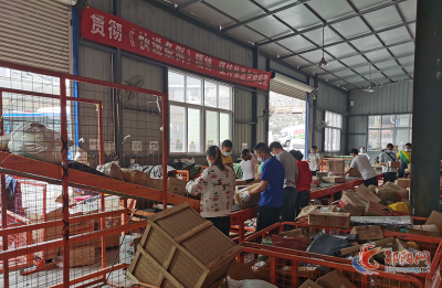 区交通运输局：培育供应链物流新模式 助力优化营商环境