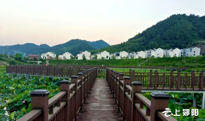 【共同缔造】柳陂镇沙洲村：共同缔造 建设美好家园