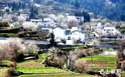 【共同缔造】党建引领共同缔造美丽樱桃沟