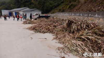 白桑关镇：秸秆禁烧 回收利用护蓝天