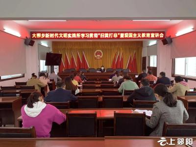 大柳乡开展“扫黄打非”护苗进校园行动