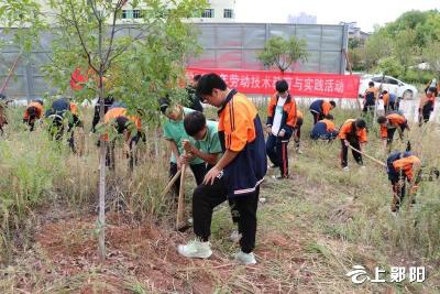 郧阳区实验中学：锄草劳作 收获快乐