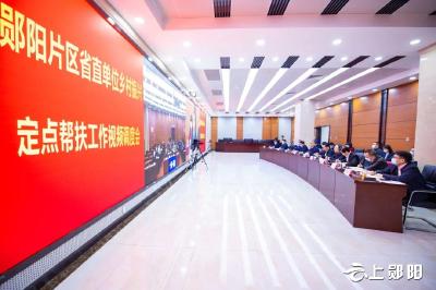“云上”交流！共同缔造助推湖北郧阳乡村振兴