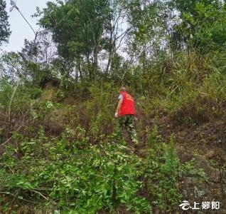 “三位一体”数字赋能 开启沧浪山智慧森林防火