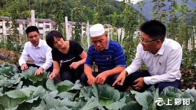 了不起！郧西这个偏远小乡，20年走出三位全国党代表！