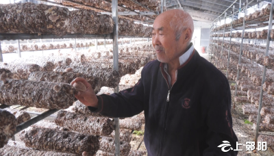 康帮富：不依不靠 用辛勤双手开创致富路